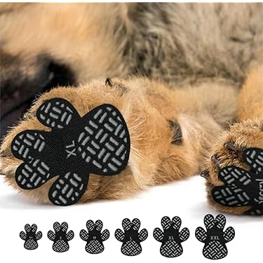 Amazon.co.jp 最新リリース: 犬用ブーツ・プロテクター の新着